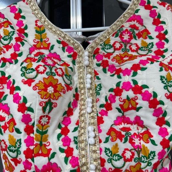 Extremely beautiful Indian Pakistani lehenga choli - Picture 5 of 10